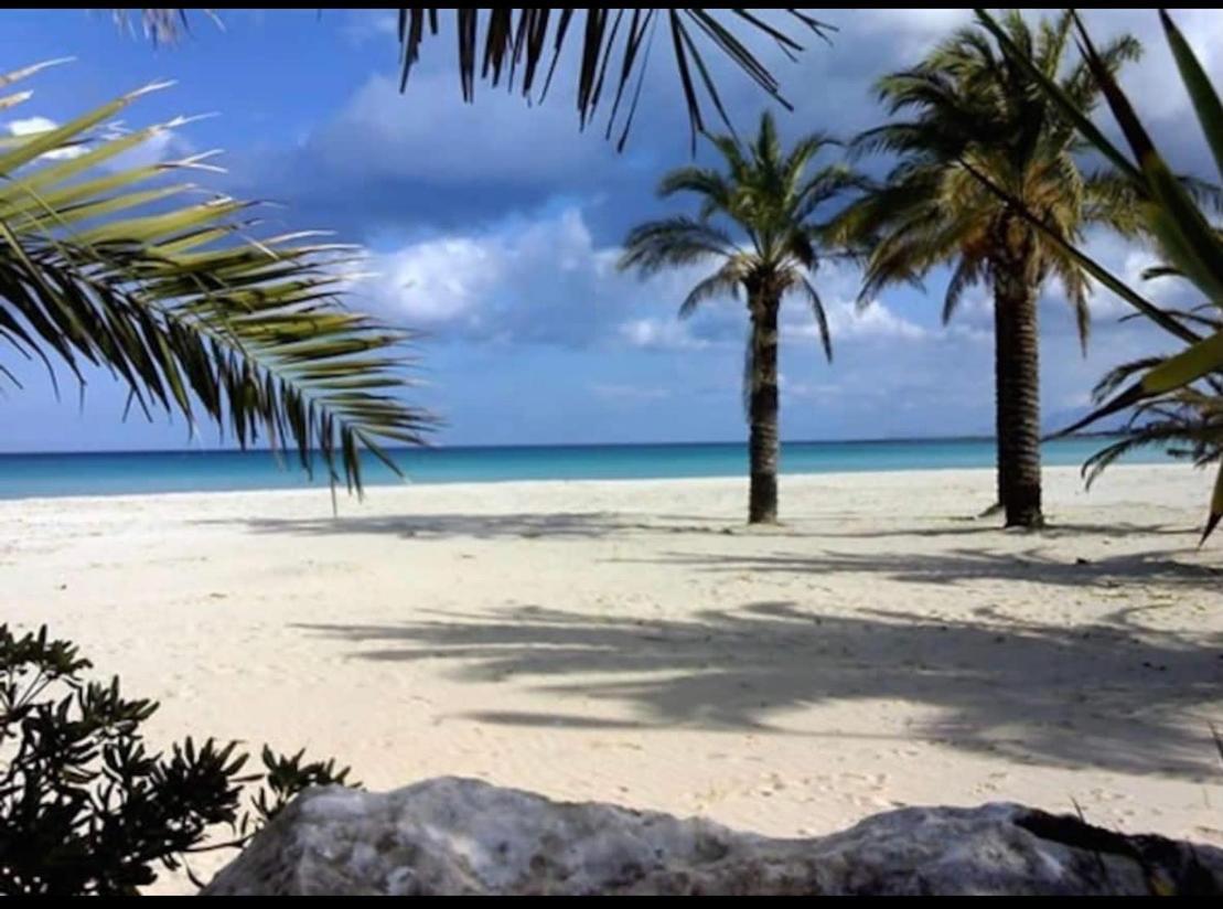 Casa Marietta Lägenhet San Vito Lo Capo Exteriör bild